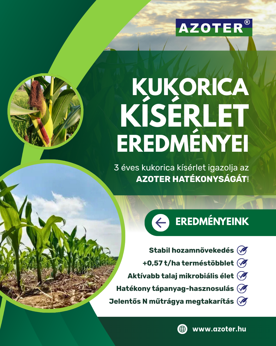 AZOTER kukorica kísérlet
