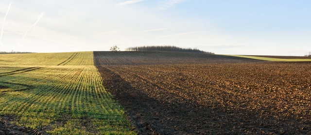 AZOTER-F: több mint tápanyagellátás