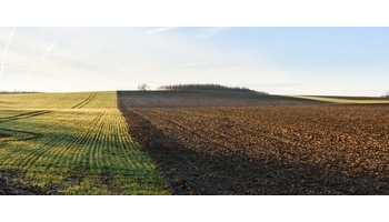 AZOTER-F: több mint tápanyagellátás